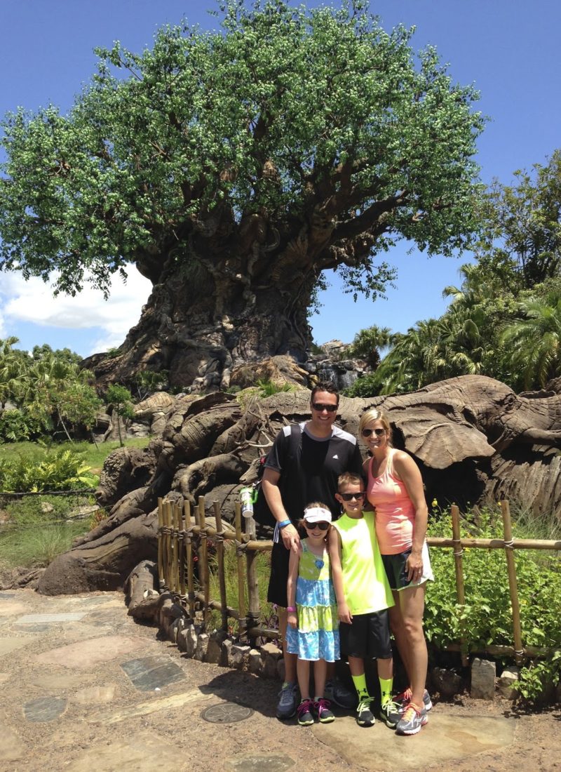 Our Trip to Walt Disney World: Animal Kingdom
