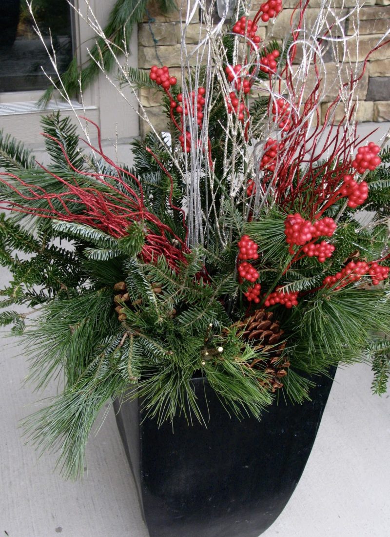 How to Make Winter-Friendly Container Pots