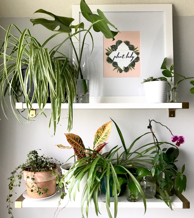Free Printable: “Forever a Plant Lady”
