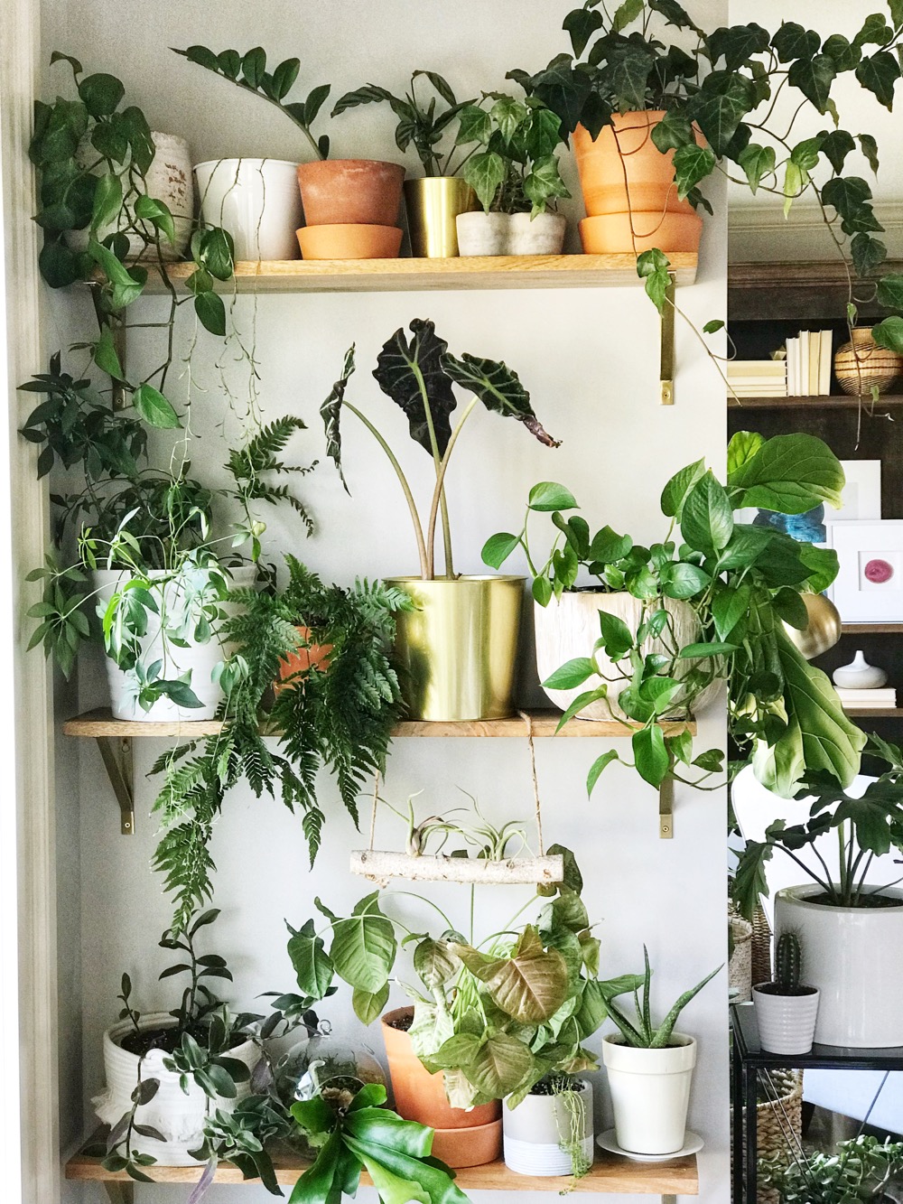 How to Make a Simple and Beautiful DIY Plant Wall - XO My Home