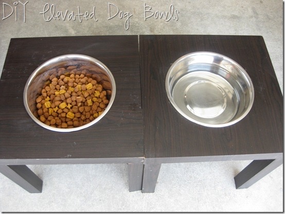DIY Elevated Dog Bowls