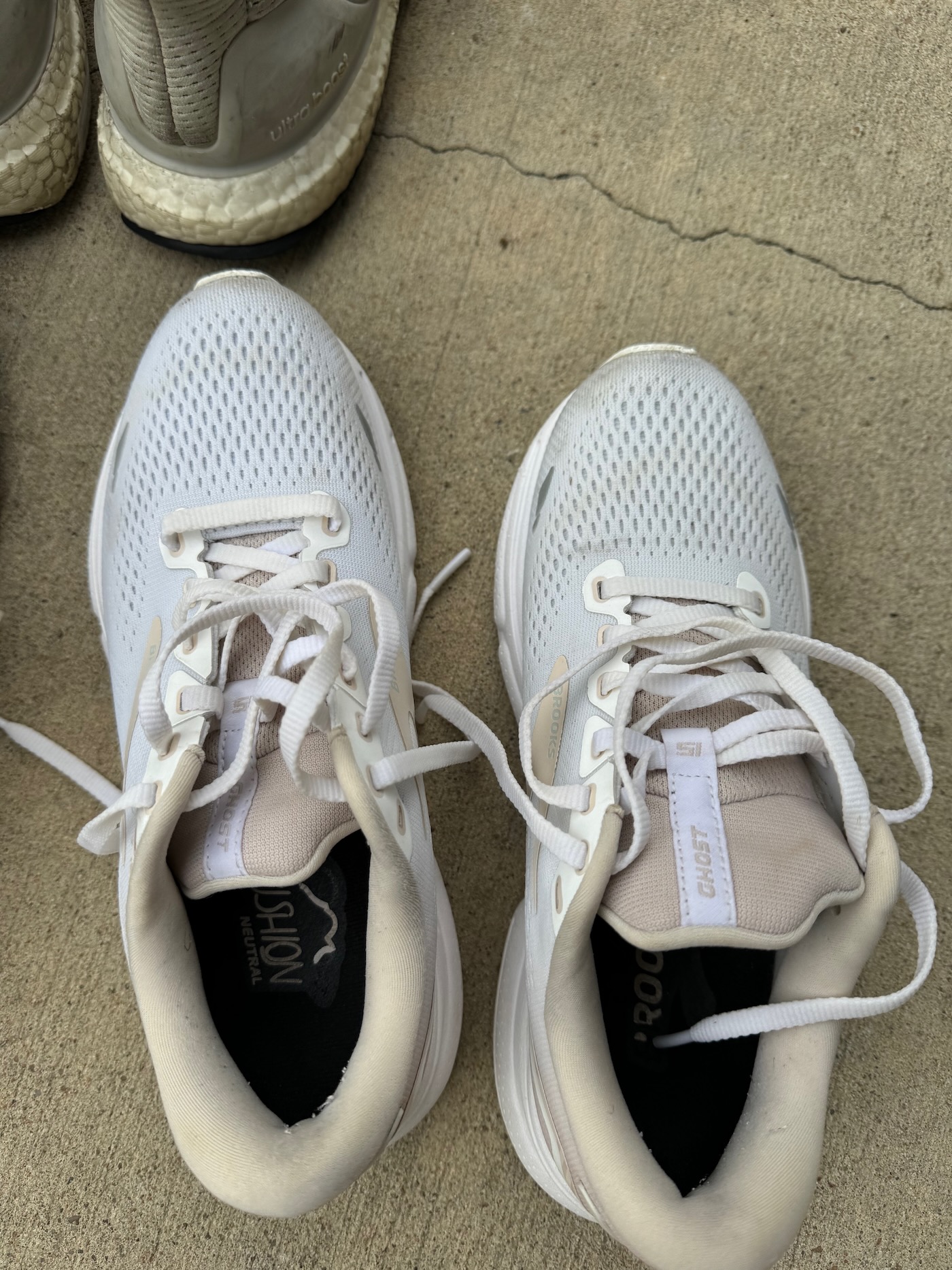 clean tennis shoes in the dishwasher